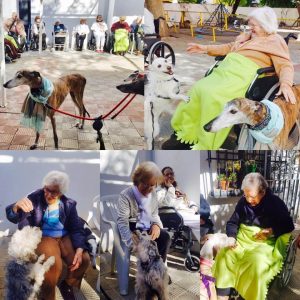 Terapias con animales. Visita de nuestros amigos los perros a la Residencia en Sevilla Aurora 