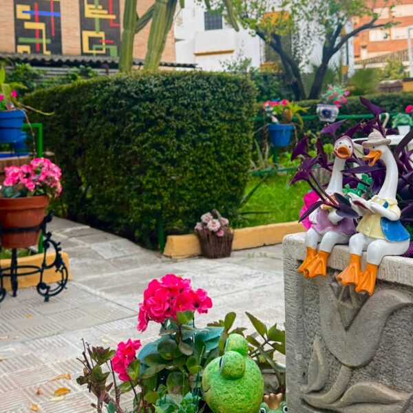 Jardin residencia Aurora 4